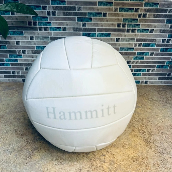 Hammitt Logo volleyball and frisbee - Picture 3 of 5